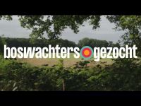 Boswachters Gezocht - Toby & Tirza: reeën tellen