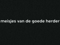 Meisjes van de Goede Herder - Gevallen meisjes