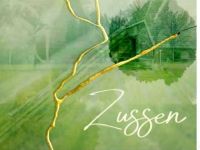 Zussen - Dat hele verhaal klopt niet